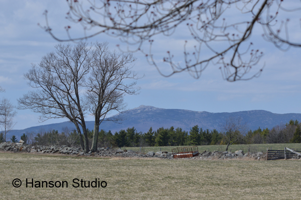 Mt. Monadnock - Witt Hill Rd Stone Wall - Spring